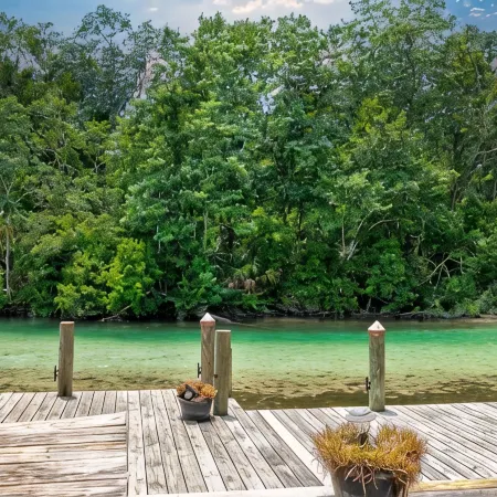 2/2 CABIN Directly on the Weeki Wachee River, Kayaks and a Canoe for Family Fun!