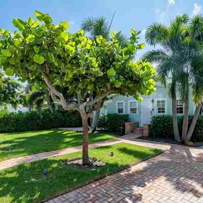 Updated East Boca House Hotel Exterior