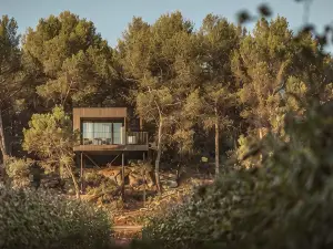 Les Cabanes de l Oller