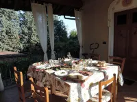 Isolated on hill, flat with terrace,garden among romanesque art,quiet,nature Hotele w: Cocconato