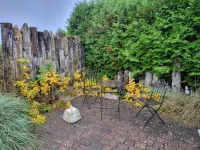 Beautiful, very quietly located vacation apartment between the Baltic Sea and the Bodden with sauna - 무료 와이파이