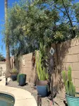 Tranquil Oasis! 3 Bdrm Home with No Fee Heated Pool- Hot Tub!  Great Location!! - WiFi