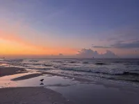 One Step to the Beach! / Spacious Beachfront Condo - Beach resorts