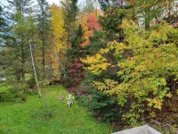 Privacy!! Whole House! 10% Off 7 Nights or More Stay, 15% Off 28 Nights or More - Wifi