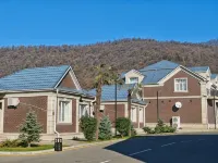 Gabala Bless Hotel Cottage - WiFi