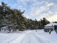 Holiday Home, Thale, Harz, Forest, Family-Friendly, Peaceful, Close to Nature. -  Privatzimmer