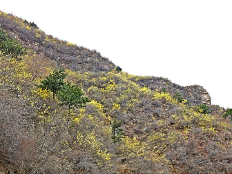 Gouya Mountain