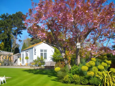 Birch House Bed & Breakfast Hotels in Portesham
