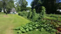 The Farmstand Bed & Breakfast Hotel a Eaton