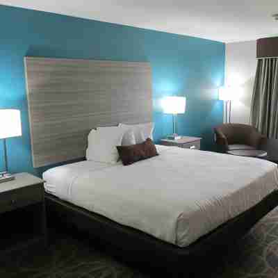 Best Western Presidential Hotel  Suites Rooms