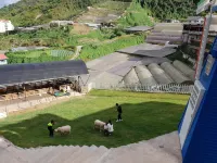 Serene Mossy Family Cottage(2-7Pax) 10 Min to Boh Hotel di Ulu Telom