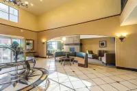 Comfort Inn & Suites - Lemmikkieläimet sallittu