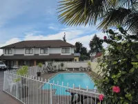 Palm City Motor Inn - piscine