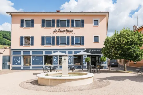 Le Place Neuve Hotels in Rhone