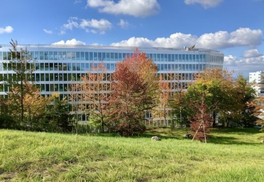 하얏트 플라이스 객실