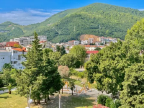 Hotel Pasha Hotels in Budva