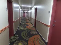 Executive Inn Chillicothe - Wifi