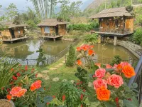 Sapa Bamboo Eco - Pools