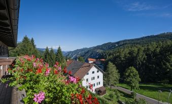 Hotel Trentino