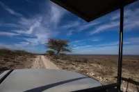Aloegrove Safari Lodge - วิว