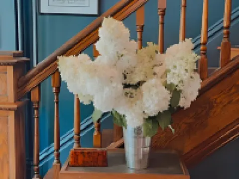 Modern Homestead Guest House Hotels in Preston County