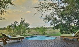 Rhino Walking Safaris