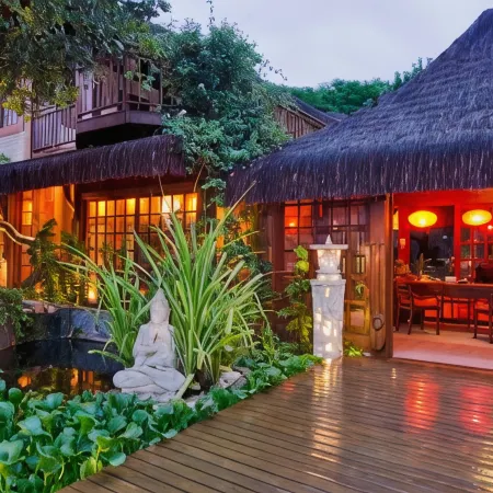 Sombra e Água Fresca Floresta