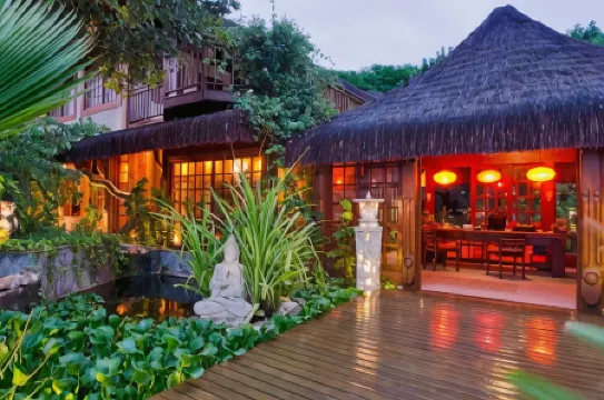 Sombra e Água Fresca Floresta