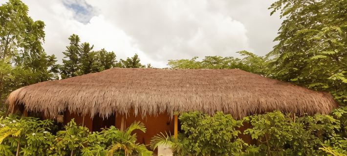 Piedra de Agua Palenque Hotels in Palenque