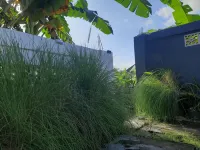 Ayunda Stay & Hostel Hotels in Jembrana Regency