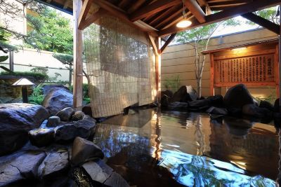 スパ・大浴場 山鹿温泉 清流荘の写真