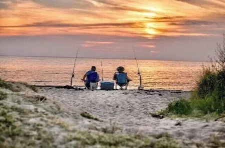 Deal Island Bay Cottage