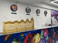 伊琳娜維納烏斯馬諾娃體操宮酒店 鄰近達爾文國家博物館的酒店
