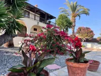 Charming Erimi Villa with Private Pool and Garden View - Villas