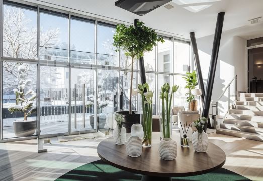 호텔 식사 이미지