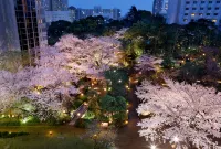 Grand Prince Hotel Takanawa Hotels near Microsoft Japan Co., Ltd.