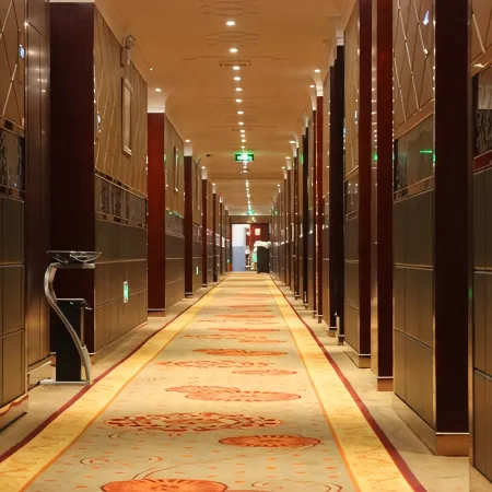 Viana Hotel Hanshan
