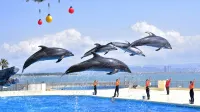 The Luigans Spa and Resort - Beach