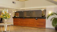 Maple Tree Inn - bar