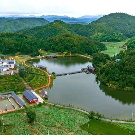 Shilihong Rhododendron Farm