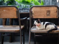 Tangtao Yard Hostel (Xiamen Gulangyu Fuxing Castle) Hotels near Riguang Mountain