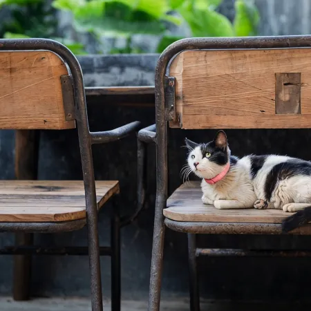 Tangtao Yard Hostel (Xiamen Gulangyu Fuxing Castle) Отели рядом с достопримечательностью «Музей Сямэнь»