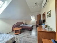 Guberniya Mini-Hotel - Pet friendly