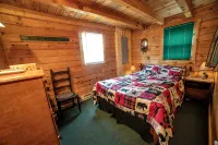 Secluded Woodland Retreat Surrounded by Forest Views & Wildlife