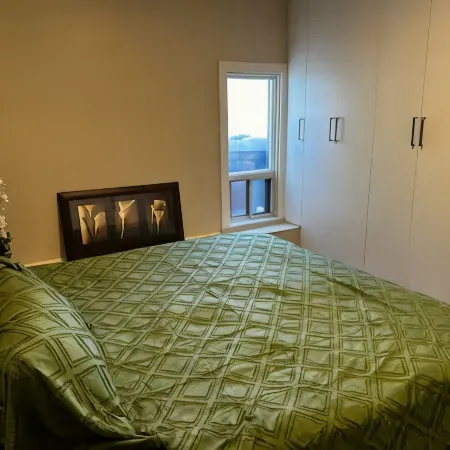 Renovated 2 Bedroom Apt Central Hamilton