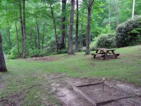 Fox Hole Cabin - Romantic Bungalow - Hike to Dozens of Waterfalls - Chalets
