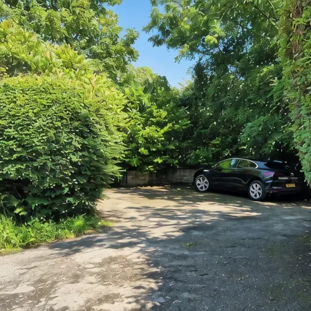 PRIVATE ROOM WITH OWN ENTRANCE IN COTTAGE DOWN A QUIET LEAFY LANE. EASY PARKING