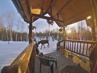 Private lakefront cabin with WiFi in charming Talkeetna, Alaska - Chalets