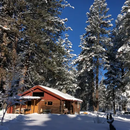 Blinn's Landing: Historic Riverfront Log Cabin, Dock & Mountain Views. Dogs OK!