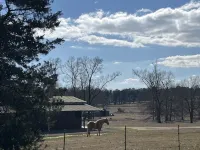 Country home w/beautiful views, close to town, reservoir and Natchez Trace - 3-Star